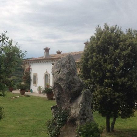 Lu Cuccumiau Country B&B Arzachena Bagian luar foto